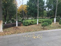 -太子山公园(园东路)