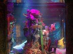 -沈阳海洋探索中心