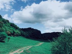 -关山草原
