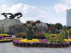 -南通洲际绿博园