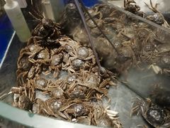 -韩盛炭火烤肉(万达广场店)
