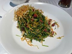 巧拌豆苗-四季民福烤鸭店(王府井灯市口店)