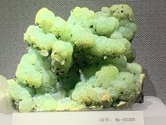 -湖南省地质博物馆