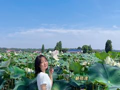 -湖南湘都生态农业园