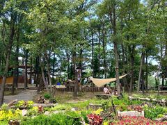 -沂蒙山旅游区云蒙景区(蒙山国家森林公园)