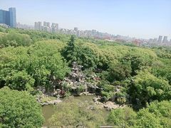 -红梅公园