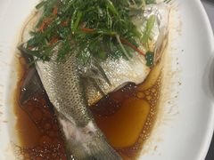 -御同亨酒楼·喜宴