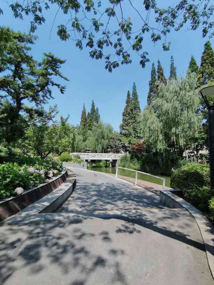 兰溪青年公园-"单位在曹杨路附近了,中午吃完饭习惯出来逛.