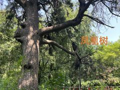 -北陵公园