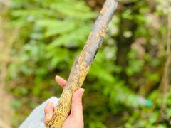 -穹窿山景区