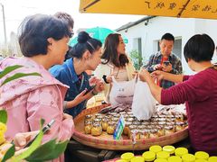 -苏州市吴中区光福窑上花果蜜饯厂