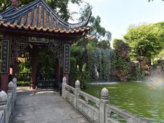 -碧江金楼