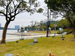 -顺峰山公园