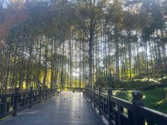 -唐崖土司城遗址