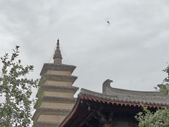 -正定古城-开元寺