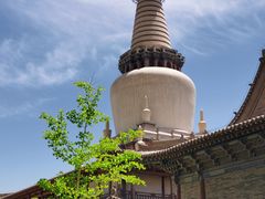 -张掖大佛寺景区