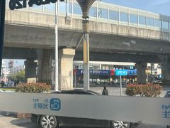 -宠颐生宠物医院·犬猫全科·皮肤科(商业街店)