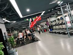 -金吉鸟健身游泳