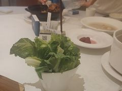 -锦粤宫·精致粤菜(深圳北站店)