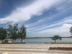 -武清南湖绿博园