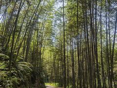 -千泷沟大瀑布旅游区