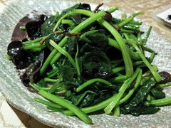 茶树菇木耳菠菜-新粤新疆菜清真餐厅(拱北店)