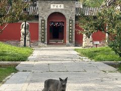-晋祠公园