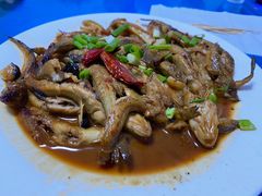 野生鳗鱼-夏军农家乐