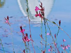 -宁波儿童公园(鄞州区)