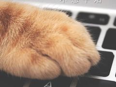 -火齐潮汕砂锅粥(五道口店)