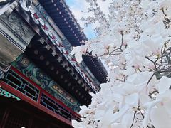 -潭柘寺景区