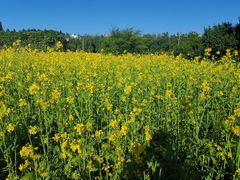 -长春公园(普阳街道)