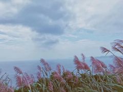 -东极岛景区