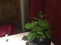 -苏浙汇(朝外店)
