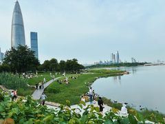 -深圳人才公园