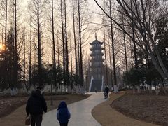 -桃花岛公园