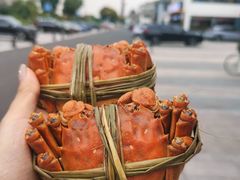 -品鲜村农家菜·阳澄湖大闸蟹(总店)