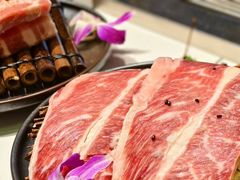 -山野的朋友露营炭火烤肉