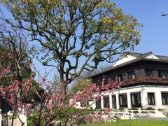 -杭州西湖柳莺里酒店·闻莺厅