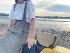 -汕尾风车岛