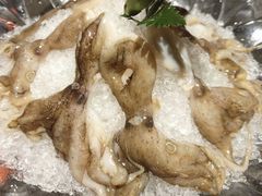 -煲宫猪肚鸡(昆山金鹰国际购物中心店)