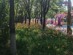 -大兴滨河森林公园