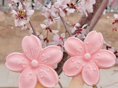 -桃花堤公园