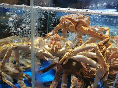 -徐记海鲜·宴会(大唐西市|丰庆店)