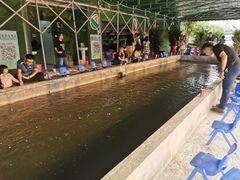 -会江钓鱼钓虾烧烤场