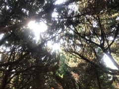 -南岳衡山风景名胜区-南岳大庙