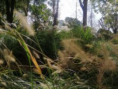 -中国工商银行(漕河泾开发区支行)