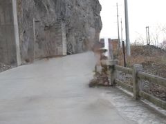 -汉中石门栈道风景区
