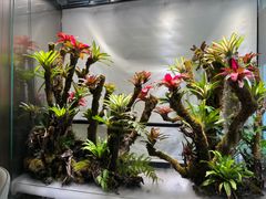 -扶摇湘宴·烤鸭·湘粤宴(中关村·北大店)