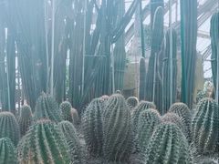 -南山植物园